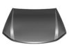 VAN WEZEL 4049660 Bonnet